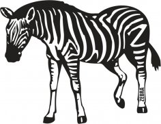 Zebra Free Vector