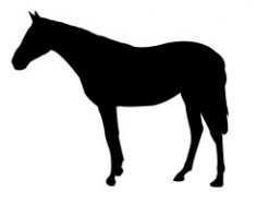 Horse Standing Silhouette dxf file