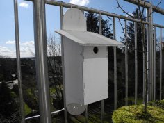 Laser Cut Birds Nest Boxes 6mm SVG File