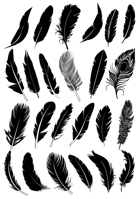 Black Feather Vector Collection Free Vector cdr Download - 3axis.co