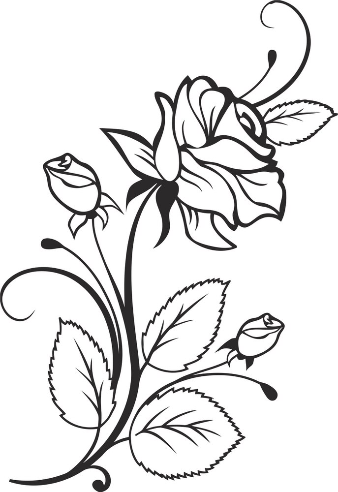 free vector rose Flower Vector CDR File - Free Vector