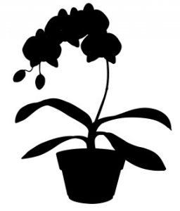 House Plant 5 dxf file