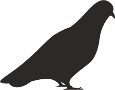 Bird Dove Silhouette Vector Free Vector