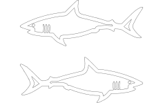Sharks dxf File