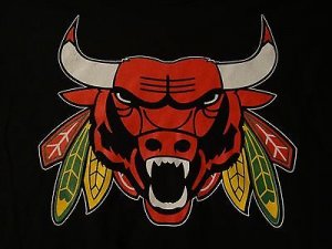 Chicago Bulls and Chicago Blackhawks dxf file