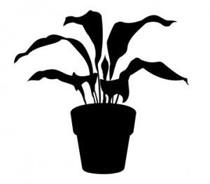 House Plant 3 dxf file