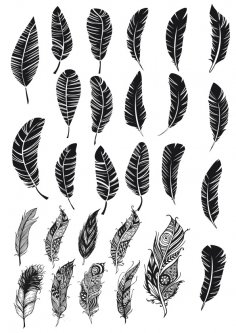 Feather Free Vector