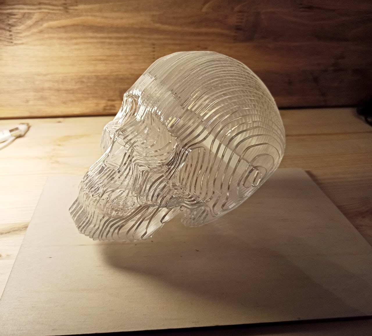 Laser Cut Acrylic 3D Skull Model Free Vector