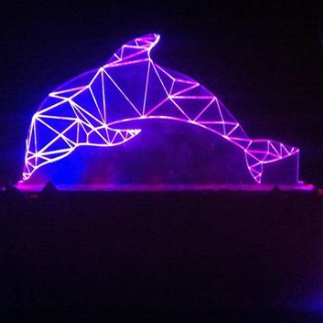Laser Cut Dolphin 3D Led Lamp DXF File