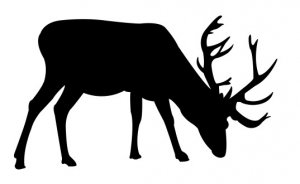 Deer grazing dxf file