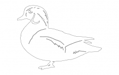 Wood Duck dxf File