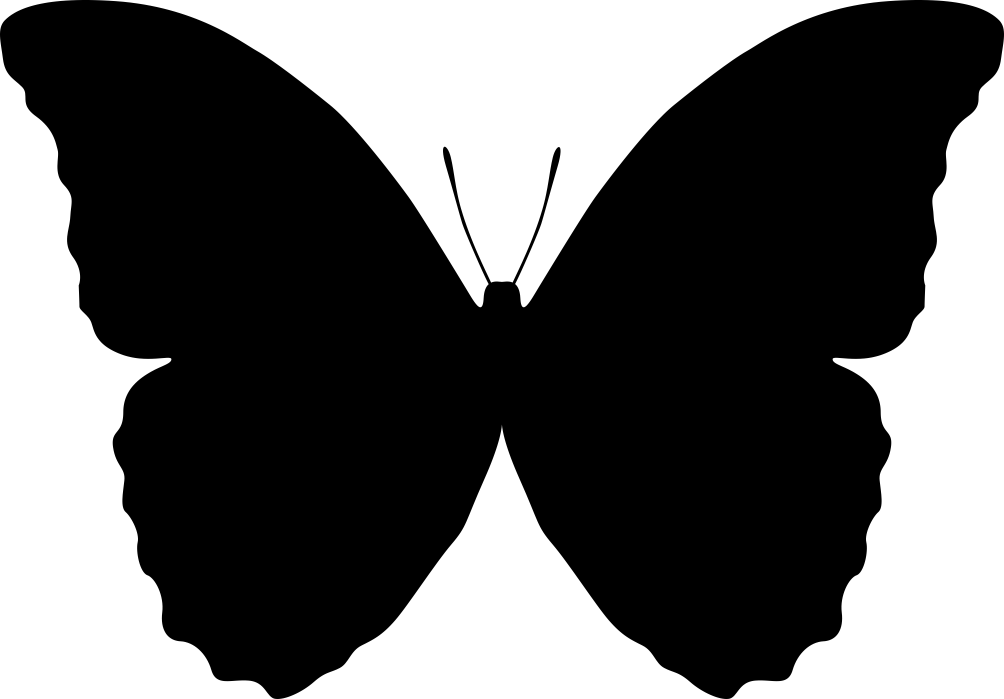 Butterfly Silhouette Vector Free Vector cdr Download 