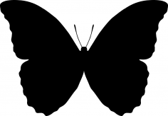 Butterfly Silhouette Vector Free Vector