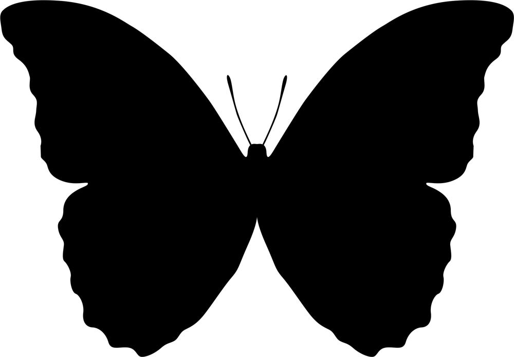 Butterfly Vector Art Illustration (.ai) vector file free download