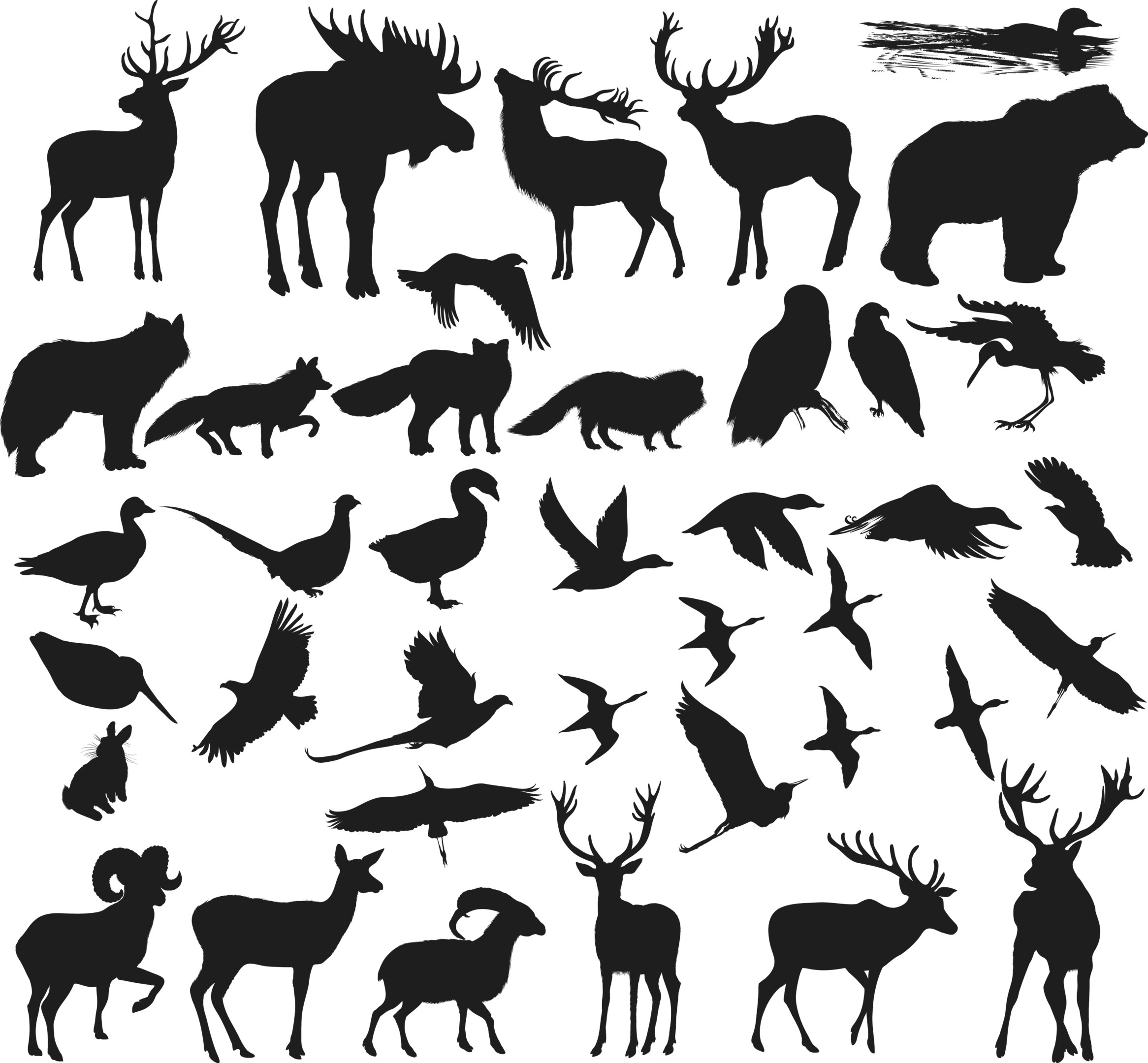 Animals Shapes Silhouettes Vectors (.eps) Free Vector Download - 3axis.co