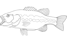 Largemouth bass Fish dxf File