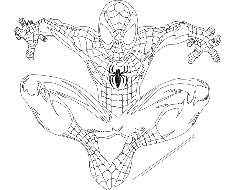 Free Free 231 Free Layered Spider Man Svg SVG PNG EPS DXF File