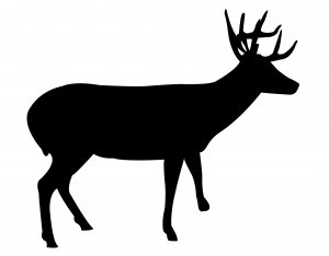 Deer DXF File