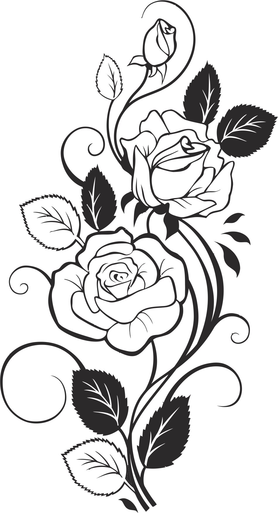 Black and White Rose Vector Free Vector cdr Download - 3axis.co