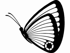 Butterfly 05 dxf File