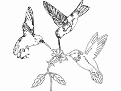 Humming Birds and Flower dxf File