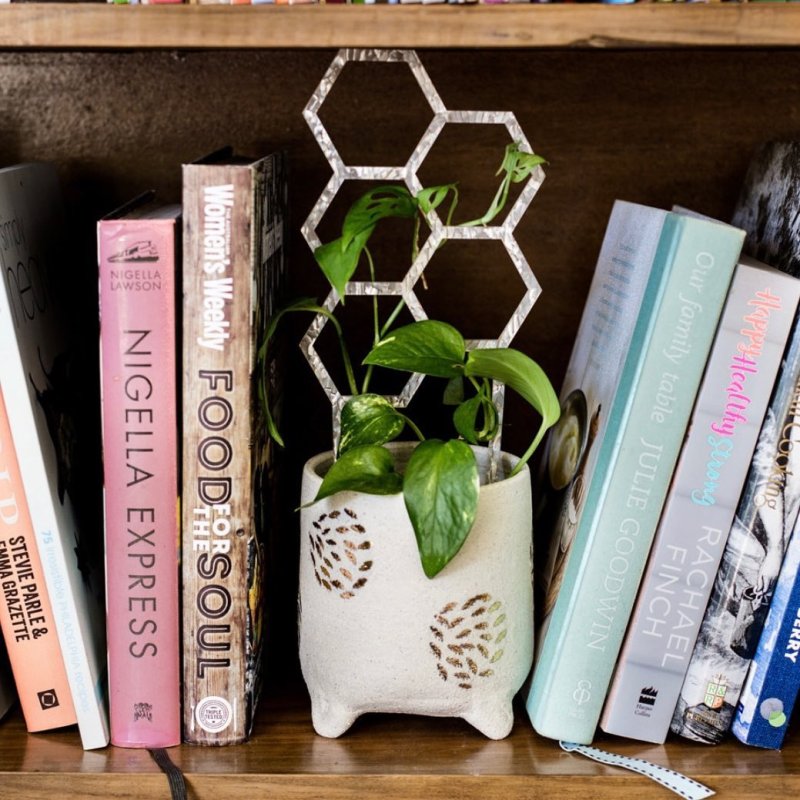 Laser Cut Indoor Plant Trellis Mini Plant Support Free Vector Download - 3axis.co - 3D model önizlemesi