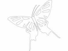 Butterfly dxf File