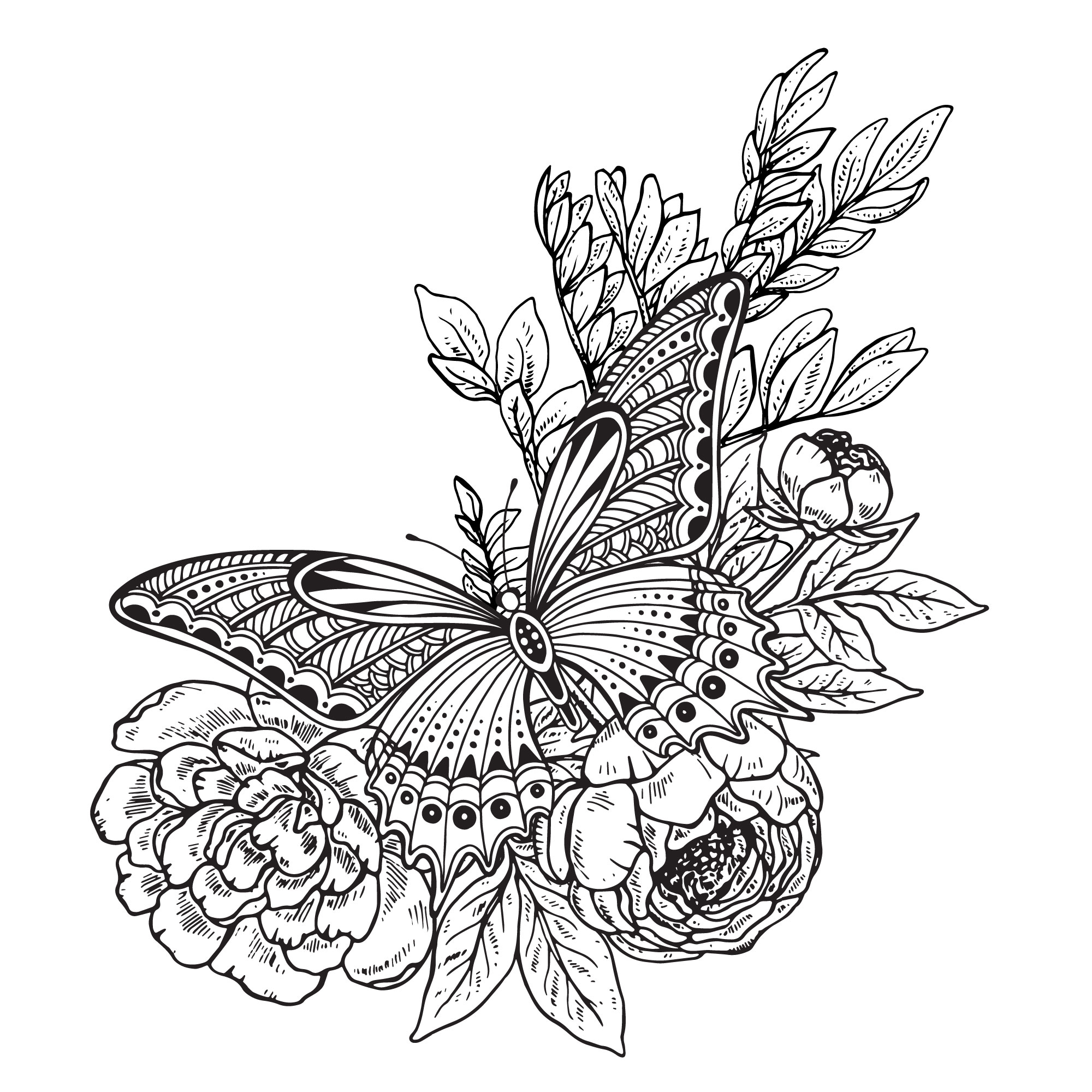 Butterfly And Flower Designs Drawing