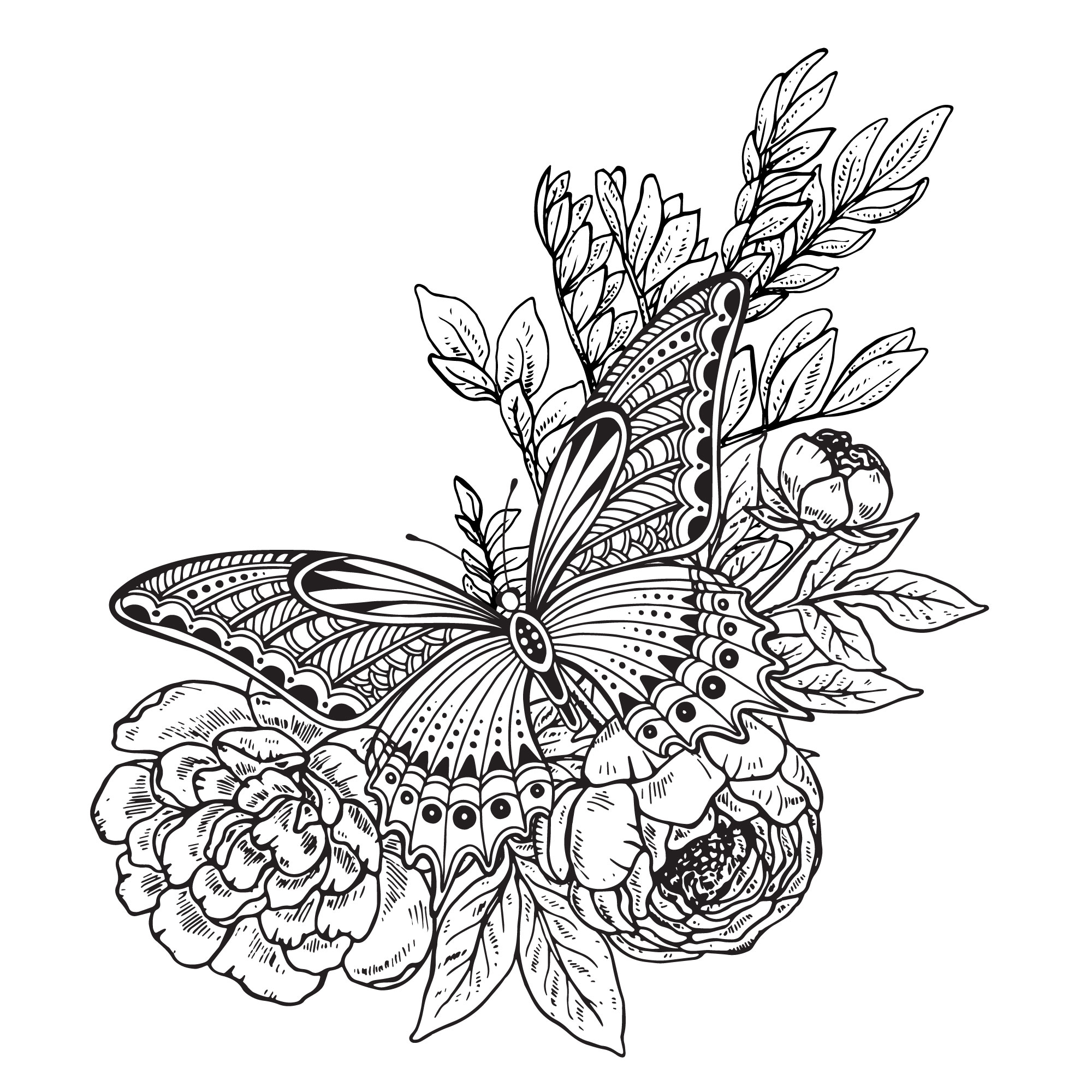 Pencil Drawings Of Flowers And Butterflies Clearance Buy, Save 46%