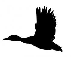 mallard duck flying silhouette dxf file