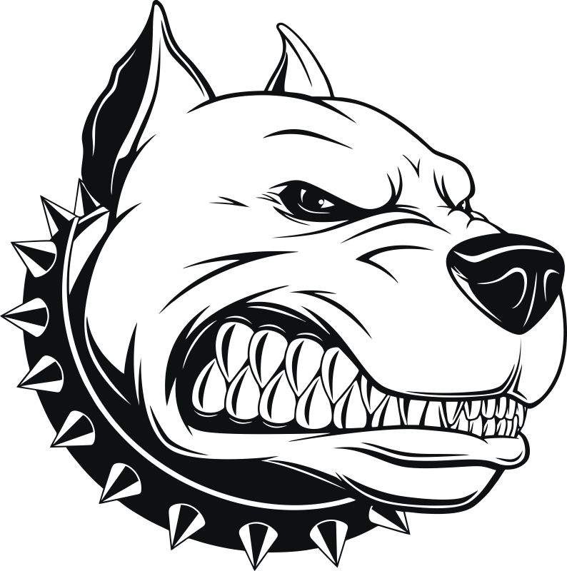 Pitbull Head Free Vector cdr Download - 3axis.co