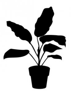 House Plant 2 dxf file