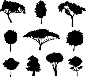 Different Trees dxf file