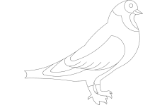 Pigeon dxf File