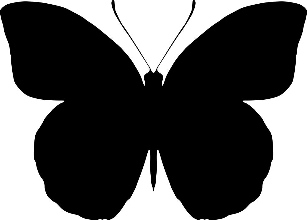 Download Butterfly Silhouette Vector Art Free Vector cdr Download - 3axis.co