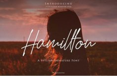 Hamilton Script Font